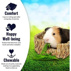 SunGrow Small-Pet Guinea Pig & Chinchilla Natural Chew Comfy Sleeping Basket Grass Bed -MiniMates Shop 572558 PT2. AC SS1800 V1682627497