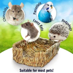 SunGrow Small-Pet Guinea Pig & Chinchilla Natural Chew Comfy Sleeping Basket Grass Bed -MiniMates Shop 572558 PT4. AC SS1800 V1682627498