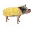 Morty's Pig Clothes Summer Sun Cloak UV Protection Mini Pig Dress
