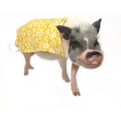 Morty's Pig Clothes Summer Sun Cloak UV Protection Mini Pig Dress 10 Morty's Pig Clothes Summer Sun Cloak UV Protection Mini Pig Dress -MiniMates Shop 575806 PT4. AC SS1800 V1657660399