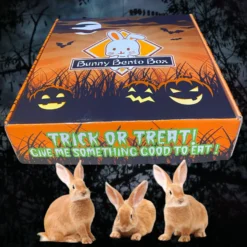Sweet Meadow Farm Halloween Edition Bunny Bento Box Small Pet Treats, 10-oz Box