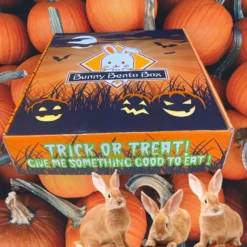 Sweet Meadow Farm Halloween Edition Bunny Bento Box Small Pet Treats, 10-oz Box -MiniMates Shop 577542 PT5. AC SS1800 V1663336660