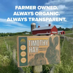 Eaton Pet & Pasture Premium First Cut Blend Timothy Hay Small Pet Food, 7-lb Box -MiniMates Shop 583302 PT3. AC SS1800 V1659907669