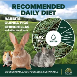 Eaton Pet & Pasture Premium First Cut Blend Timothy Hay Small Pet Food, 7-lb Box -MiniMates Shop 583302 PT5. AC SS1800 V1659909203