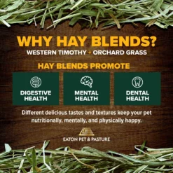 Eaton Pet & Pasture Premium First Cut Blend Timothy Hay Small Pet Food, 7-lb Box -MiniMates Shop 583302 PT7. AC SS1800 V1659909262