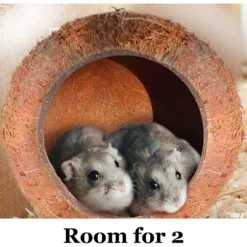 SunGrow Bedding & Sand Bath Container Cozy Hideout Coconut Hut Small-Pet Litter Box -MiniMates Shop 604534 PT2. AC SS1800 V1673561010