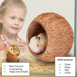 SunGrow Bedding & Sand Bath Container Cozy Hideout Coconut Hut Small-Pet Litter Box -MiniMates Shop 604534 PT4. AC SS1800 V1677074206