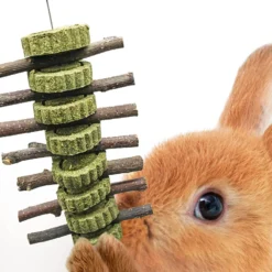CoCoo Rabbit Apple Sticks Dental Chew Hanging Treats, Cage Accessories & Supplies For Small Animals