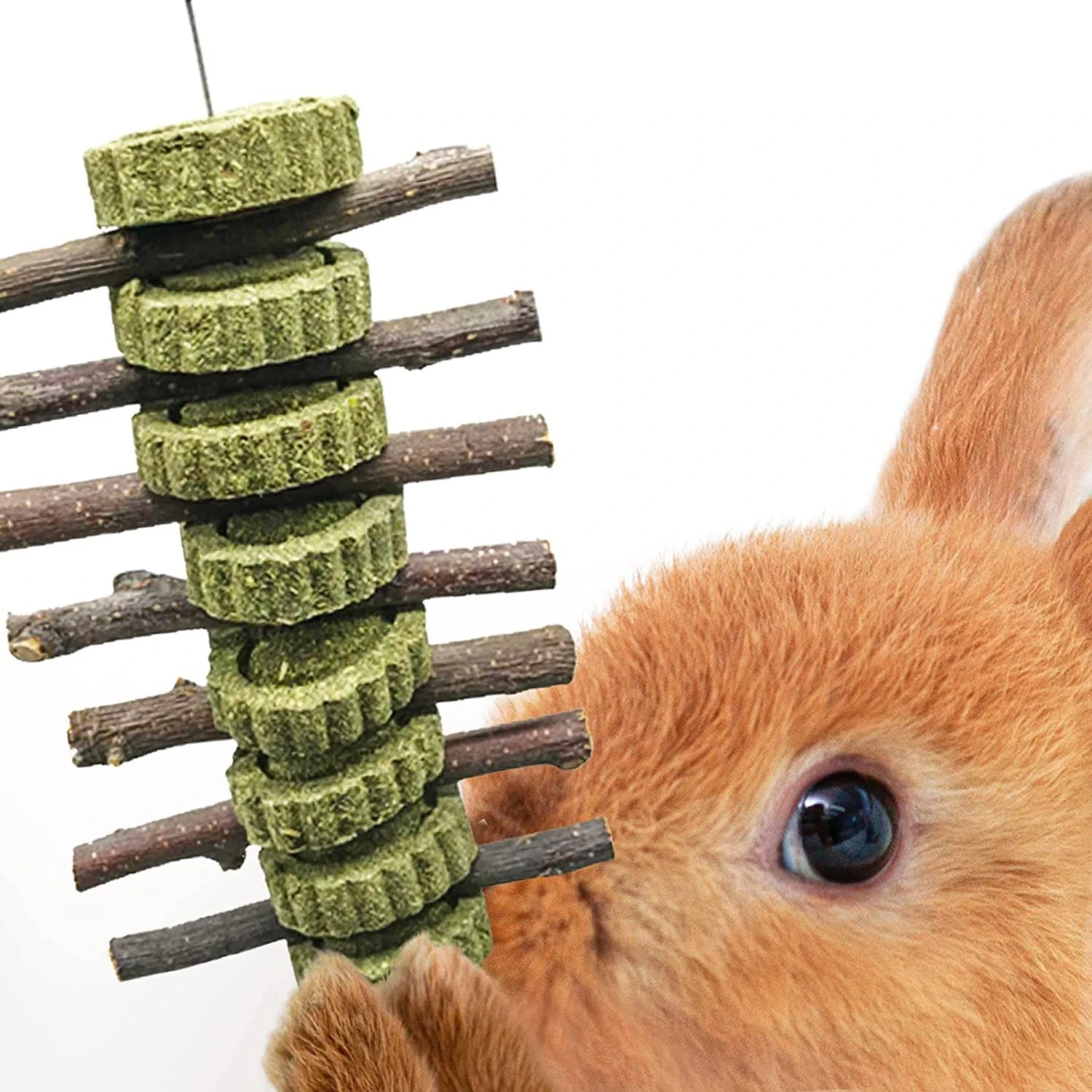 CoCoo Rabbit Apple Sticks Dental Chew Hanging Treats, Cage Accessories & Supplies For Small Animals 1 CoCoo Rabbit Apple Sticks Dental Chew Hanging Treats, Cage Accessories & Supplies For Small Animals