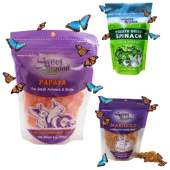 Sweet Meadow Farm Dried Papaya Small Pet & Bird Treats, 9-oz Bag + 2 Items