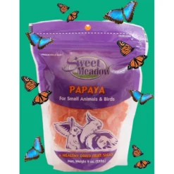 Sweet Meadow Farm Dried Papaya Small Pet & Bird Treats, 9-oz Bag + 2 Items -MiniMates Shop 617174 PT4. AC SS1800 V1661830639
