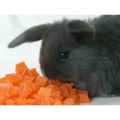 Sweet Meadow Farm Dried Papaya Small Pet & Bird Treats, 9-oz Bag + 2 Items -MiniMates Shop 617174 PT5. AC SS1800 V1661831799