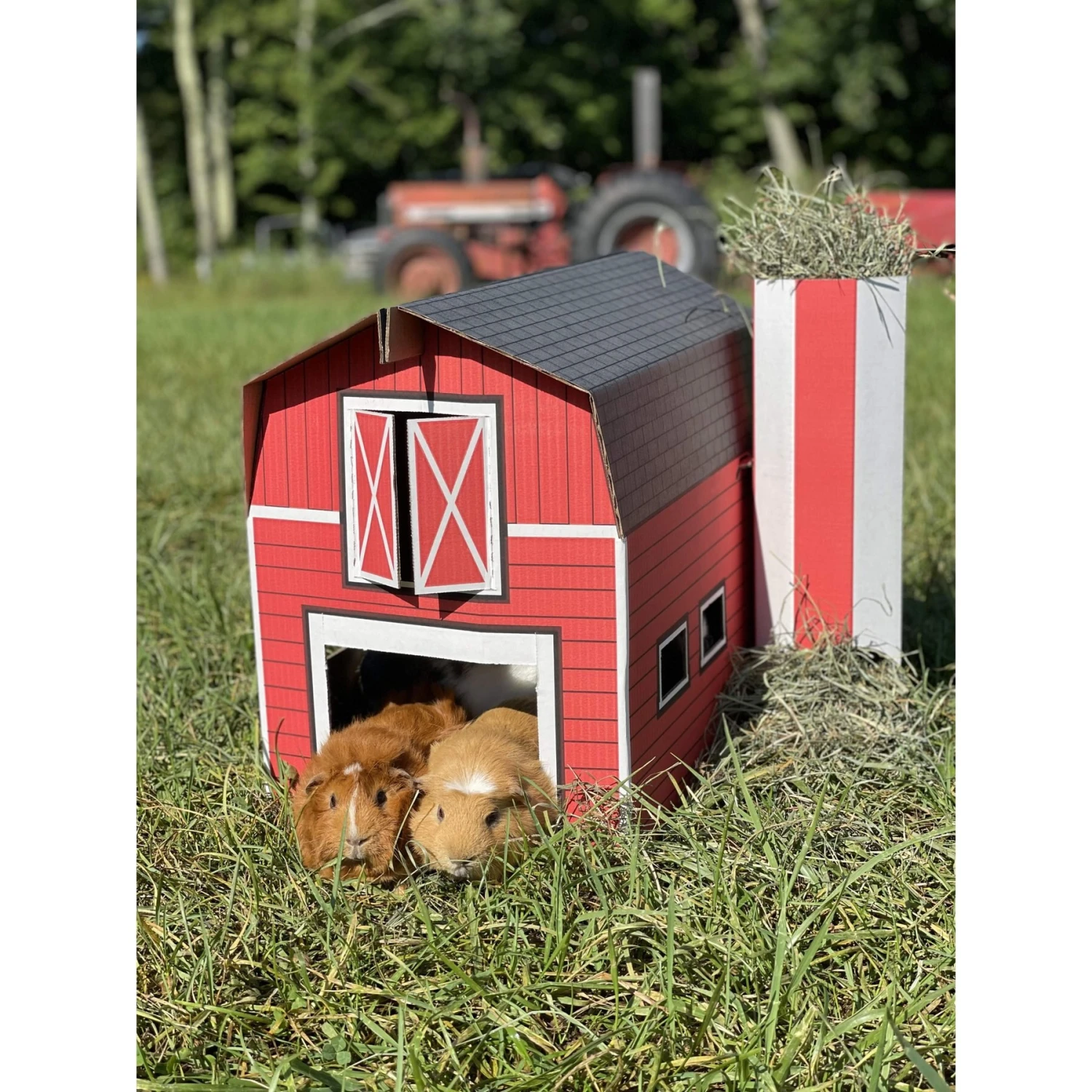 Sweet Meadow Farm Buddy Barn Small Pet Hideout + 2 Items 5 Sweet Meadow Farm Buddy Barn Small Pet Hideout + 2 Items - Image 5