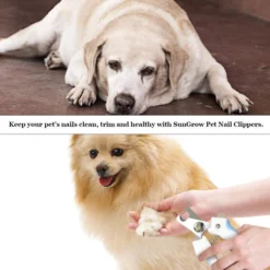 SunGrow Cat & Dog Nail Trimmers & File Set, Clippers For Claw Care & Small Pet Grooming -MiniMates Shop 629278 PT3. AC SS1800 V1680882120