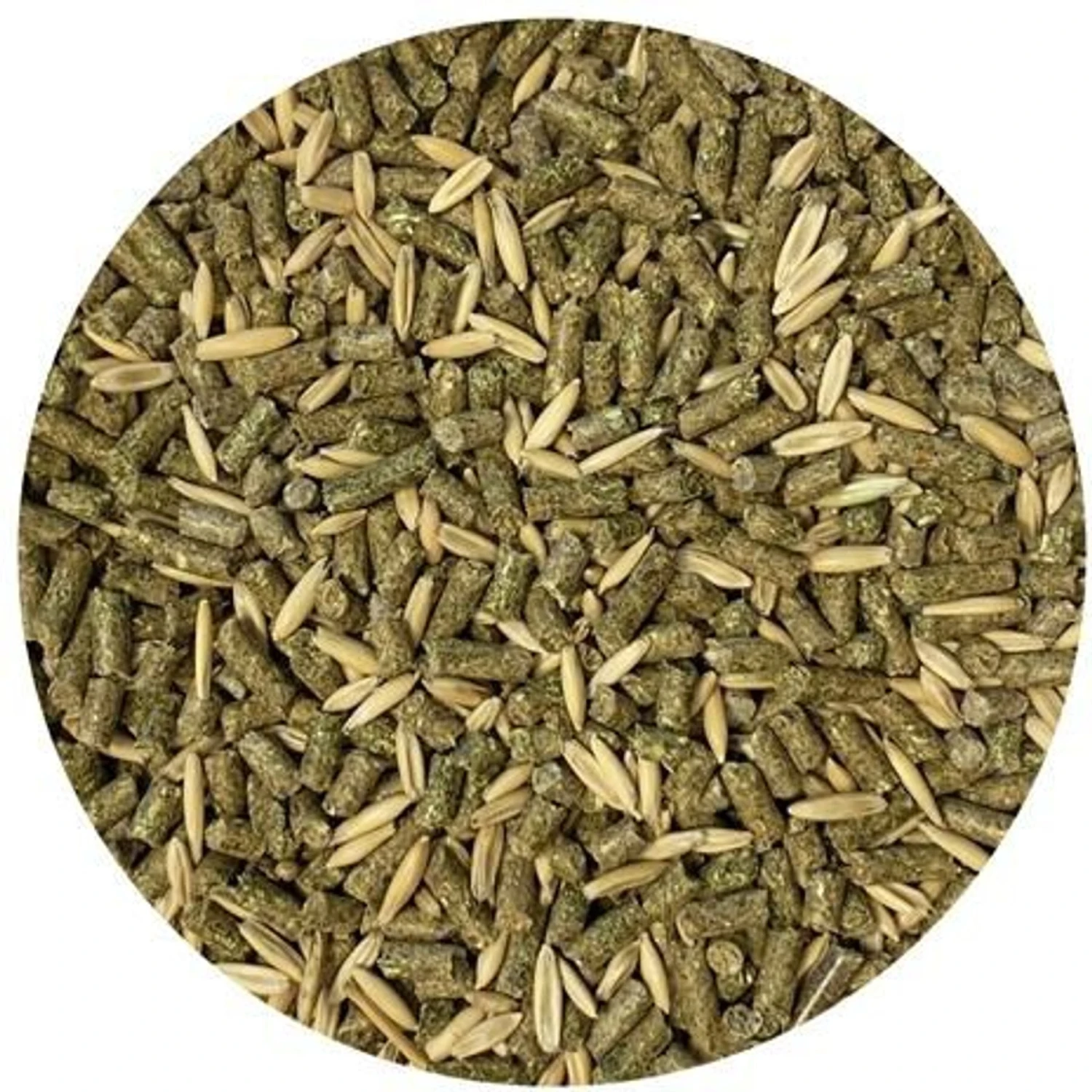 Exotic Nutrition Degu Diet Food 2 Exotic Nutrition Degu Diet Food - Image 2