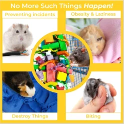 Vila Colorful Hanging Teeth Grinding Rat Guinea-Pig & Small Animal Wooden Chew Blocks, 16-in 9 Vila Colorful Hanging Teeth Grinding Rat Guinea-Pig & Small Animal Wooden Chew Blocks, 16-in -MiniMates Shop 666566 PT3. AC SS1800 V1683575589