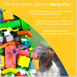 Vila Colorful Hanging Teeth Grinding Rat Guinea-Pig & Small Animal Wooden Chew Blocks, 16-in 10 Vila Colorful Hanging Teeth Grinding Rat Guinea-Pig & Small Animal Wooden Chew Blocks, 16-in -MiniMates Shop 666566 PT4. AC SS1800 V1683574163