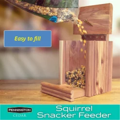 Pennington Cedar Squirrel Snacker Feeder 11 Pennington Cedar Squirrel Snacker Feeder -MiniMates Shop 679262 PT4. AC SS1800 V1666136265