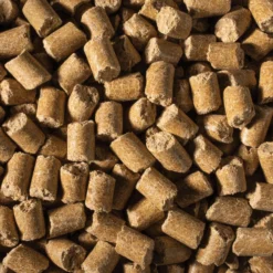 Field+Forest By Kaytee Rat Food, 2-lb Bag -MiniMates Shop 689918 PT2. AC SS1800 V1666733369