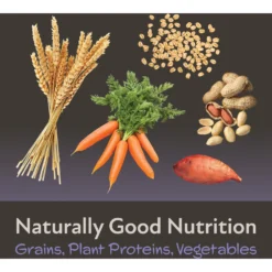 Field+Forest By Kaytee Rat Food, 2-lb Bag -MiniMates Shop 689918 PT6. AC SS1800 V1666733004