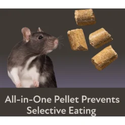 Field+Forest By Kaytee Rat Food, 2-lb Bag -MiniMates Shop 689918 PT7. AC SS1800 V1666733007