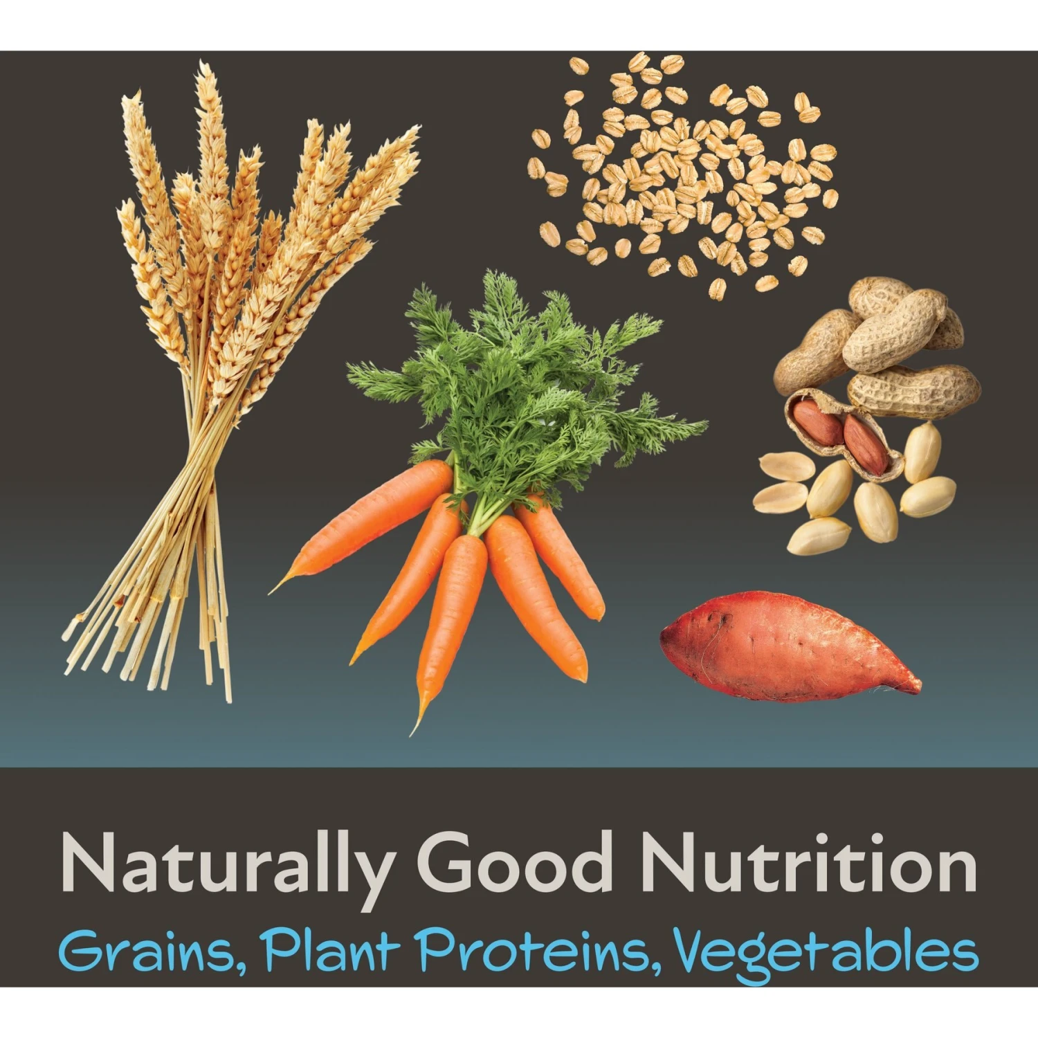 Field+Forest By Kaytee Hamster & Gerbil Food, 2-lb Bag 7 Field+Forest By Kaytee Hamster & Gerbil Food, 2-lb Bag - Image 7