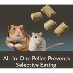 Field+Forest By Kaytee Hamster & Gerbil Food, 2-lb Bag 16 Field+Forest By Kaytee Hamster & Gerbil Food, 2-lb Bag -MiniMates Shop 689934 PT7. AC SS1800 V1666733066