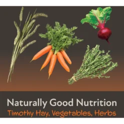 Field+Forest By Kaytee Chinchilla Food, 3-lb Bag -MiniMates Shop 689950 PT6. AC SS1800 V1666732815