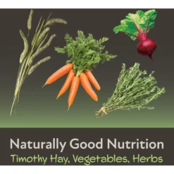 Field+Forest By Kaytee Guinea Pig Food, 4-lb Bag -MiniMates Shop 689966 PT6. AC SS1800 V1666733307