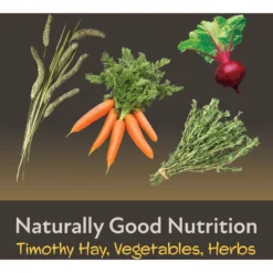 Field+Forest By Kaytee Rabbit Food, 4-lb Bag -MiniMates Shop 689982 PT6. AC SS1800 V1666733307