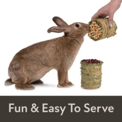 Field+Forest By Kaytee Mini Hay Bales Apple & Rose Small Pet Hay, 7-oz Bag, 2 Count -MiniMates Shop 689998 PT2. AC SS1800 V1666732878