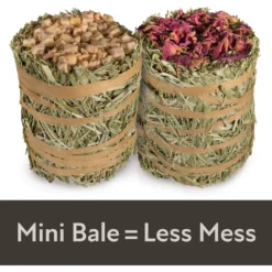 Field+Forest By Kaytee Mini Hay Bales Apple & Rose Small Pet Hay, 7-oz Bag, 2 Count -MiniMates Shop 689998 PT3. AC SS1800 V1666733993