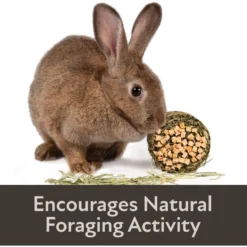 Field+Forest By Kaytee Mini Hay Bales Apple & Rose Small Pet Hay, 7-oz Bag, 2 Count -MiniMates Shop 689998 PT6. AC SS1800 V1666732821