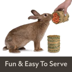 Field+Forest By Kaytee Mini Hay Bales Carrot Marigold Small Pet Hay, 7-oz Bag, 2 Count -MiniMates Shop 690014 PT3. AC SS1800 V1666733368