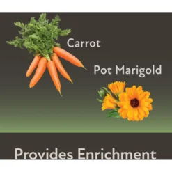Field+Forest By Kaytee Mini Hay Bales Carrot Marigold Small Pet Hay, 7-oz Bag, 2 Count -MiniMates Shop 690014 PT6. AC SS1800 V1666733005