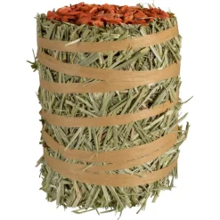 Field+Forest By Kaytee Mini Hay Bale Carrot Small Pet Hay, 3.5-oz Bag 11 Field+Forest By Kaytee Mini Hay Bale Carrot Small Pet Hay, 3.5-oz Bag -MiniMates Shop 690030 PT2. AC SS1800 V1667864705