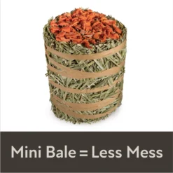 Field+Forest By Kaytee Mini Hay Bale Carrot Small Pet Hay, 3.5-oz Bag 13 Field+Forest By Kaytee Mini Hay Bale Carrot Small Pet Hay, 3.5-oz Bag -MiniMates Shop 690030 PT4. AC SS1800 V1667863236