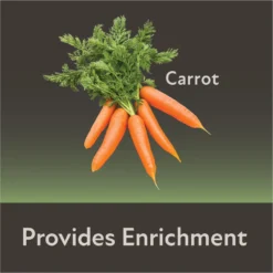 Field+Forest By Kaytee Mini Hay Bale Carrot Small Pet Hay, 3.5-oz Bag 15 Field+Forest By Kaytee Mini Hay Bale Carrot Small Pet Hay, 3.5-oz Bag -MiniMates Shop 690030 PT6. AC SS1800 V1667863422