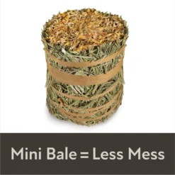 Field+Forest By Kaytee Mini Hay Bales Marigold Small Pet Hay, 3.5-oz Bag 13 Field+Forest By Kaytee Mini Hay Bales Marigold Small Pet Hay, 3.5-oz Bag -MiniMates Shop 690046 PT4. AC SS1800 V1667864211