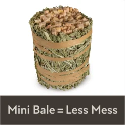 Field+Forest By Kaytee Mini Hay Bales Apple Small Pet Hay, 3.5-oz Bag -MiniMates Shop 690062 PT4. AC SS1800 V1667863358