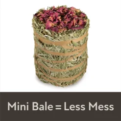 Field+Forest By Kaytee Mini Hay Bales Rose Small Pet Hay, 3.5-oz Bag 13 Field+Forest By Kaytee Mini Hay Bales Rose Small Pet Hay, 3.5-oz Bag -MiniMates Shop 690078 PT4. AC SS1800 V1667865428