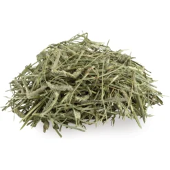 Field+Forest By Kaytee 1st Cut Timothy Small Pet Hay, 90-oz Box -MiniMates Shop 690094 PT8. AC SS1800 V1669398222