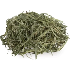 Field+Forest By Kaytee 2nd Cut Timothy Small Pet Hay, 90-oz Box 17 Field+Forest By Kaytee 2nd Cut Timothy Small Pet Hay, 90-oz Box -MiniMates Shop 690110 PT8. AC SS1800 V1669398192