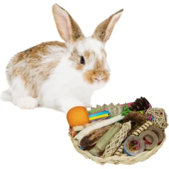 Super Bird Creations Foraging Basket Small Pet Toy