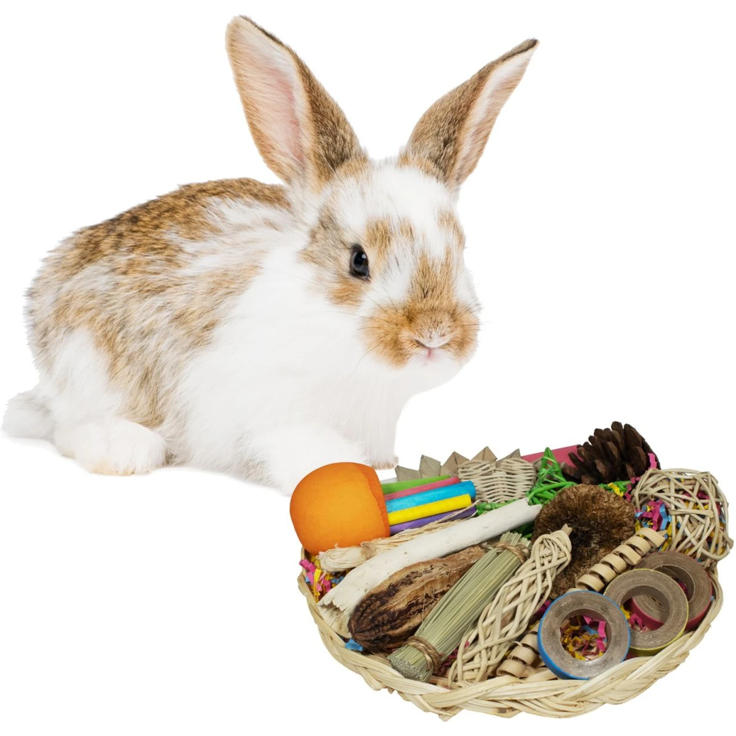 Super Bird Creations Foraging Basket Small Pet Toy 1 Super Bird Creations Foraging Basket Small Pet Toy