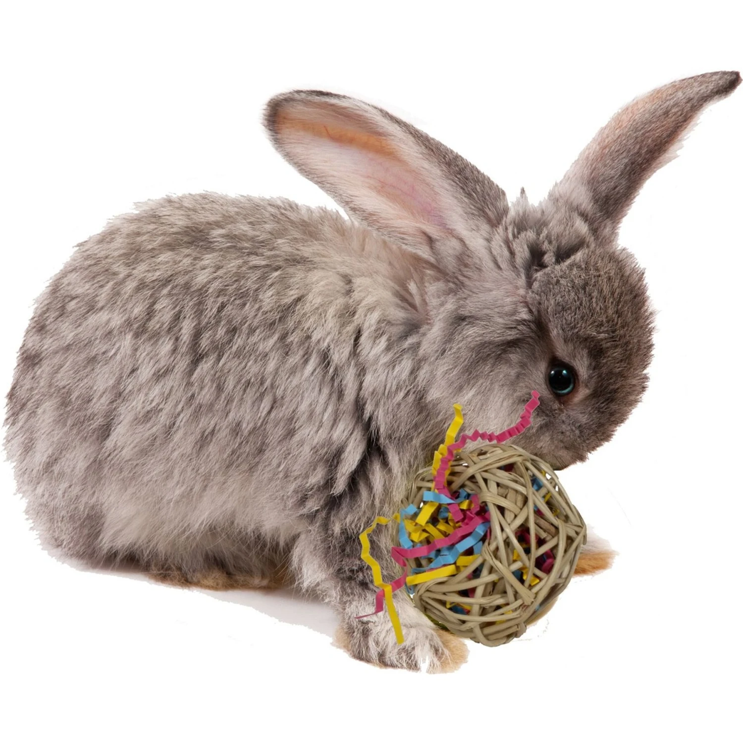 Super Bird Creations Foraging Basket Small Pet Toy 4 Super Bird Creations Foraging Basket Small Pet Toy - Image 4