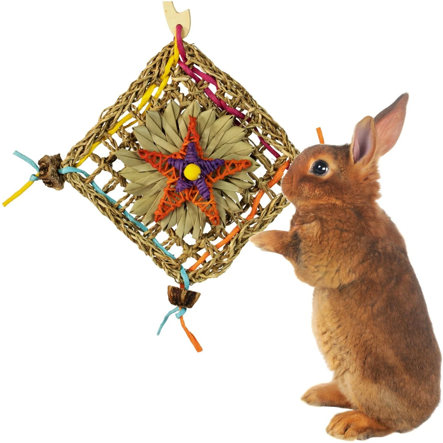 Super Bird Creations Activity Wall Small Pet Toy 1 Super Bird Creations Activity Wall Small Pet Toy