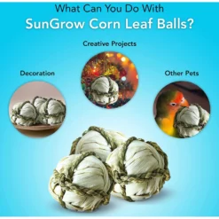 SunGrow Rabbit Corn Leaf Ball Small Pet Interactive Toy, 2.75-in, 6 Count -MiniMates Shop 693158 PT2. AC SS1800 V1669180148