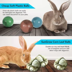 SunGrow Rabbit Corn Leaf Ball Small Pet Interactive Toy, 2.75-in, 6 Count -MiniMates Shop 693158 PT3. AC SS1800 V1669178668
