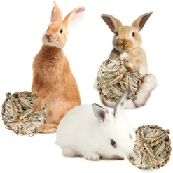 SunGrow Natural Teeth Grinding Small Pet Chew Treat Ball, 3 Count